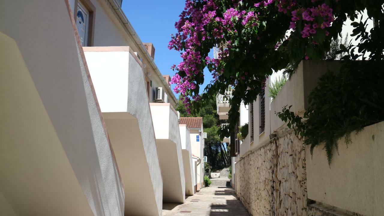 Apartment Ena - Lavica Podstrana Dış mekan fotoğraf