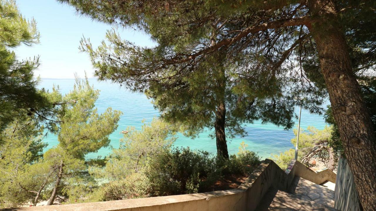 Apartment Ena - Lavica Podstrana Dış mekan fotoğraf